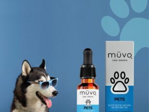 MUVO PETS CBD Aislado
